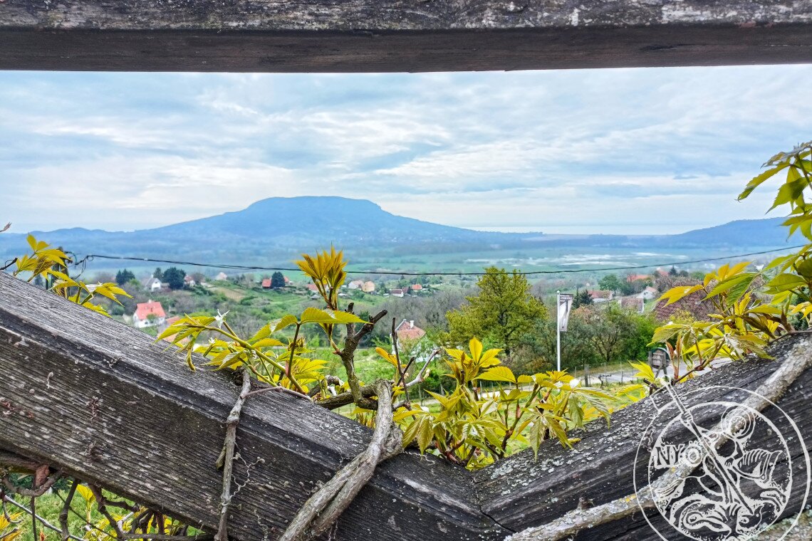 ds_617758_6f74d6bf88e9f0ae2f29038cbf41423d