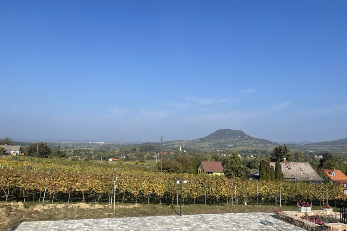 ds_617763_45a125d100ef5b187623cce21ec485fa