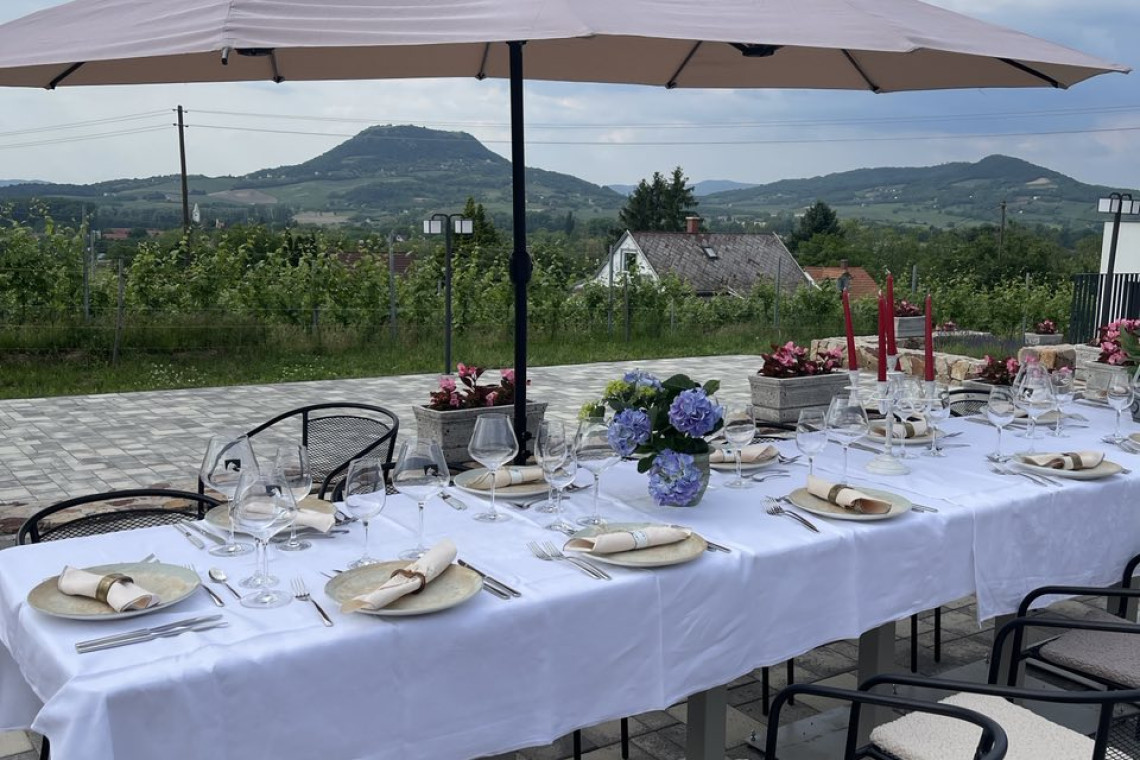 ds_617763_63c2e33869a5663f187ed2d11d545ee2