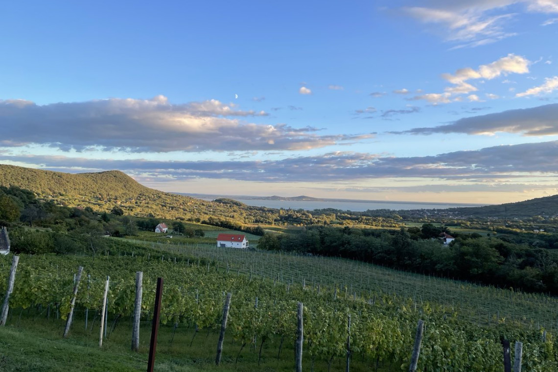 ds_617763_7212663025dafb5c92e25b4b9867bafb