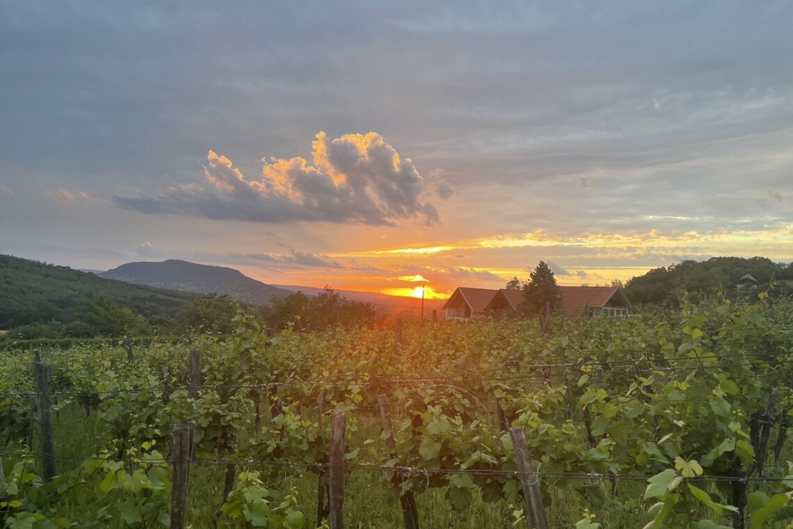 ds_617763_85eac4bda0b2ed657ae8d38067ff7274