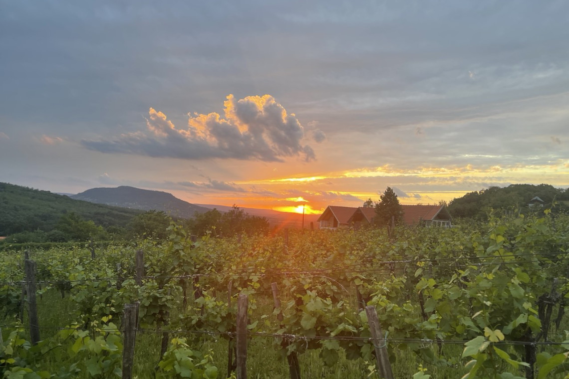 ds_617763_85eac4bda0b2ed657ae8d38067ff7274