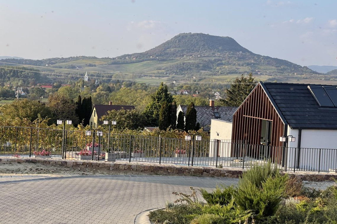 ds_617763_9a420ac244dab635dafb493b33c33cf3