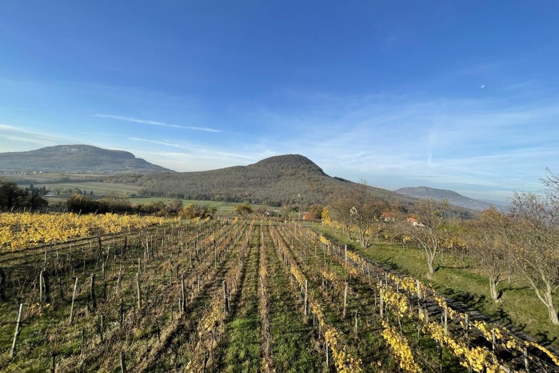 ds_617763_d8e88f594e11ec30ff1282b3e7a54718