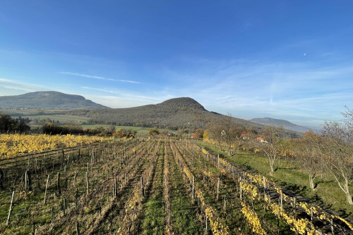 ds_617763_d8e88f594e11ec30ff1282b3e7a54718