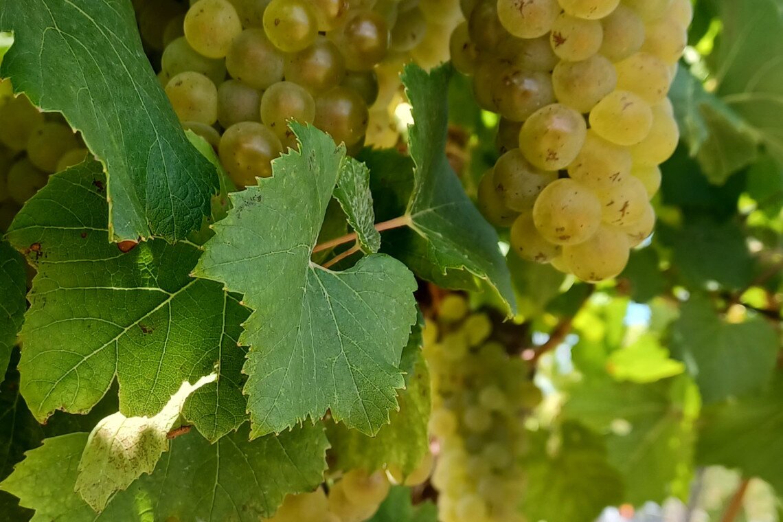 ds_617764_2804567ca61b0899d6960d131fb1c0fc