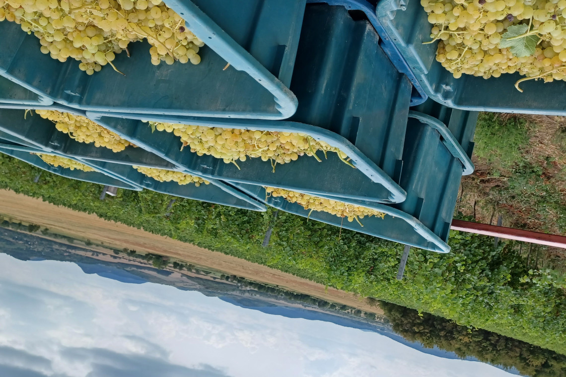 ds_617764_bb167dff60a6eab32cdffc32960da29c