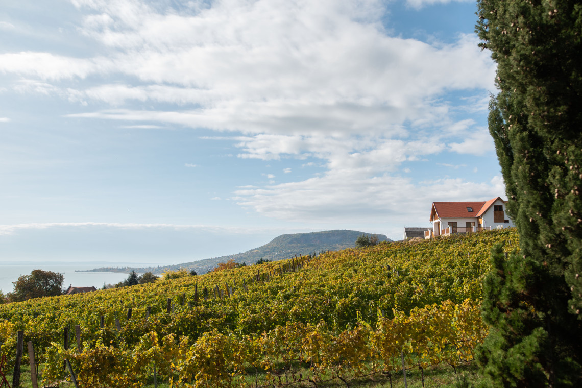 ds_617766_c21833010c6192b4d92dce446862a9df