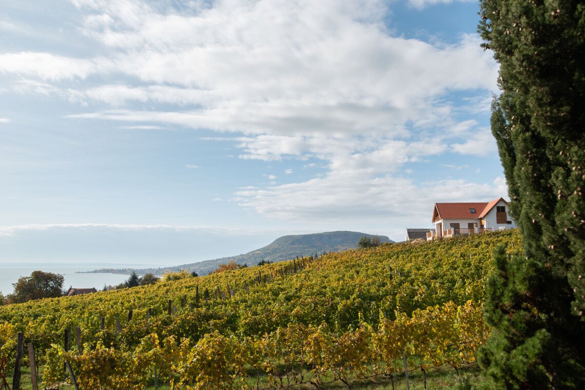 ds_617766_c21833010c6192b4d92dce446862a9df