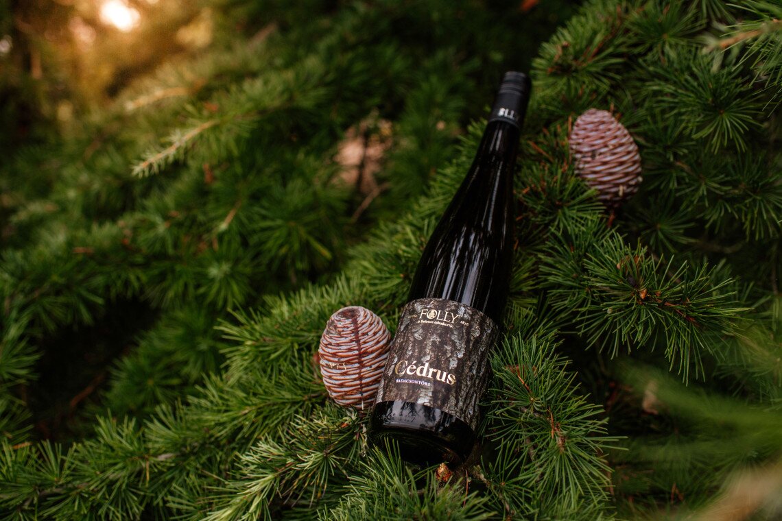 ds_617766_c785f1dc703e572d1a1363cf55ad6b45