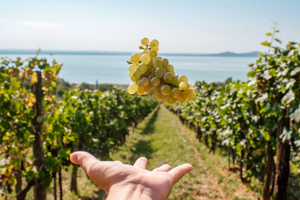 ds_617766_f9d4da5a8fd054d77b3196c2f28ddd2d