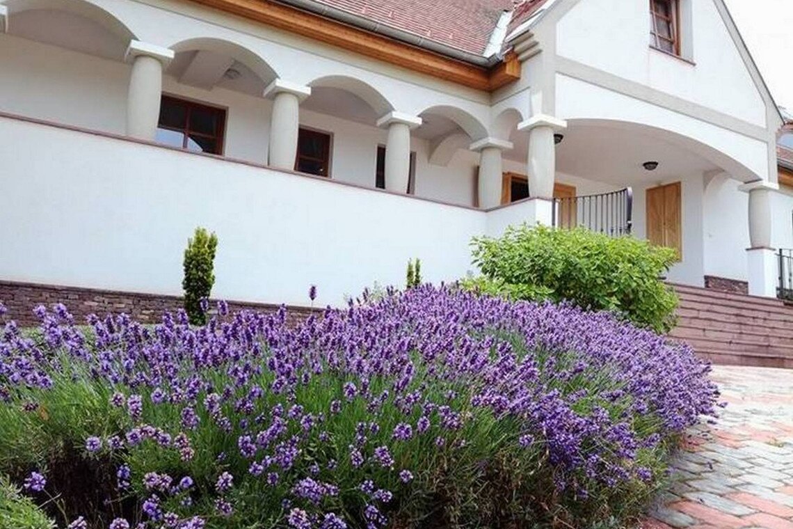 ds_617768_379d0de1058d06288dbd3a341db52339