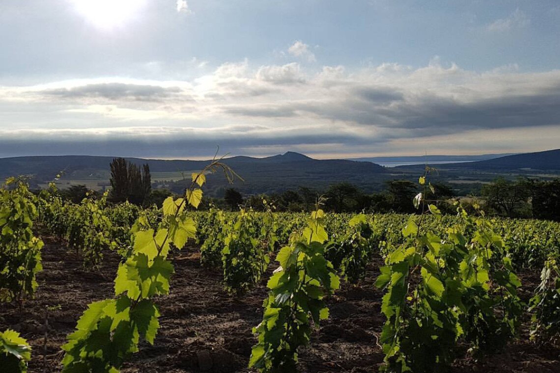 ds_617769_02caf32ddbf8675c4a327a30fa13cfed