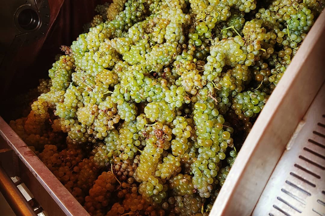 ds_617769_89339becdb0fd727b167113429e629c4