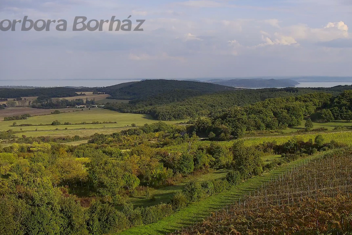 ds_617771_303245b74ff881c355d6b8da6448e3d4