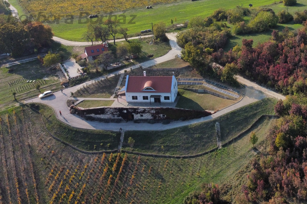 Borbora Borház