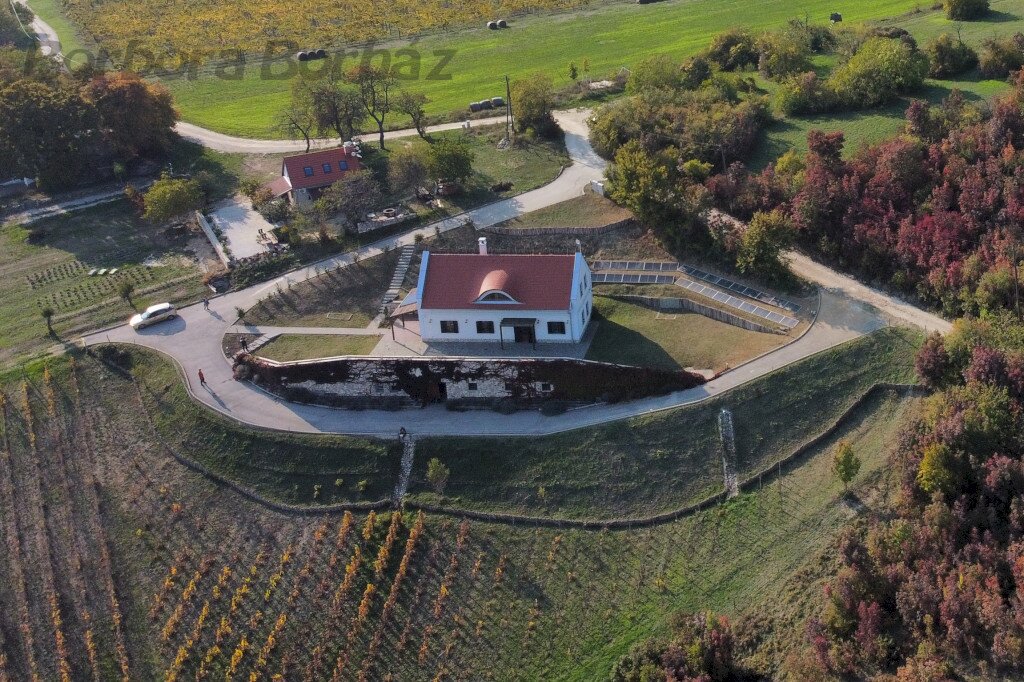 Borbora Borház