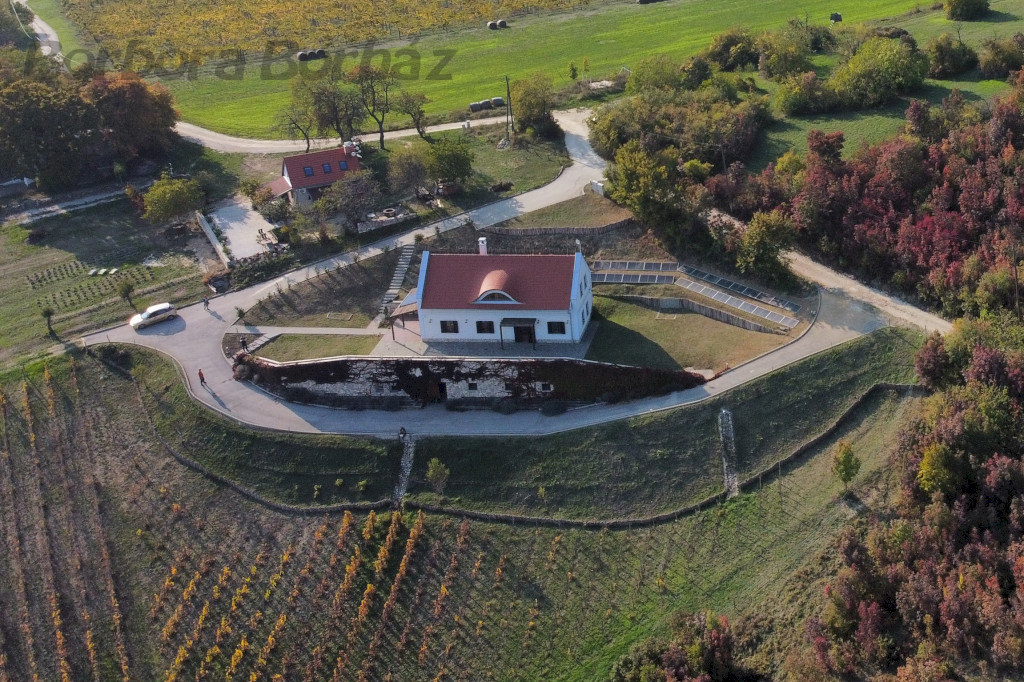 Borbora Borház