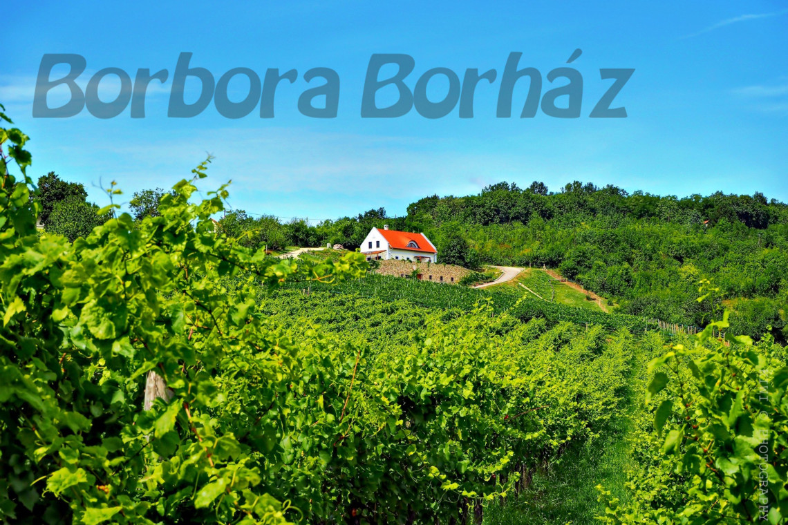 ds_617771_e0fdf3e8366333bdbffcc8c25787c48c