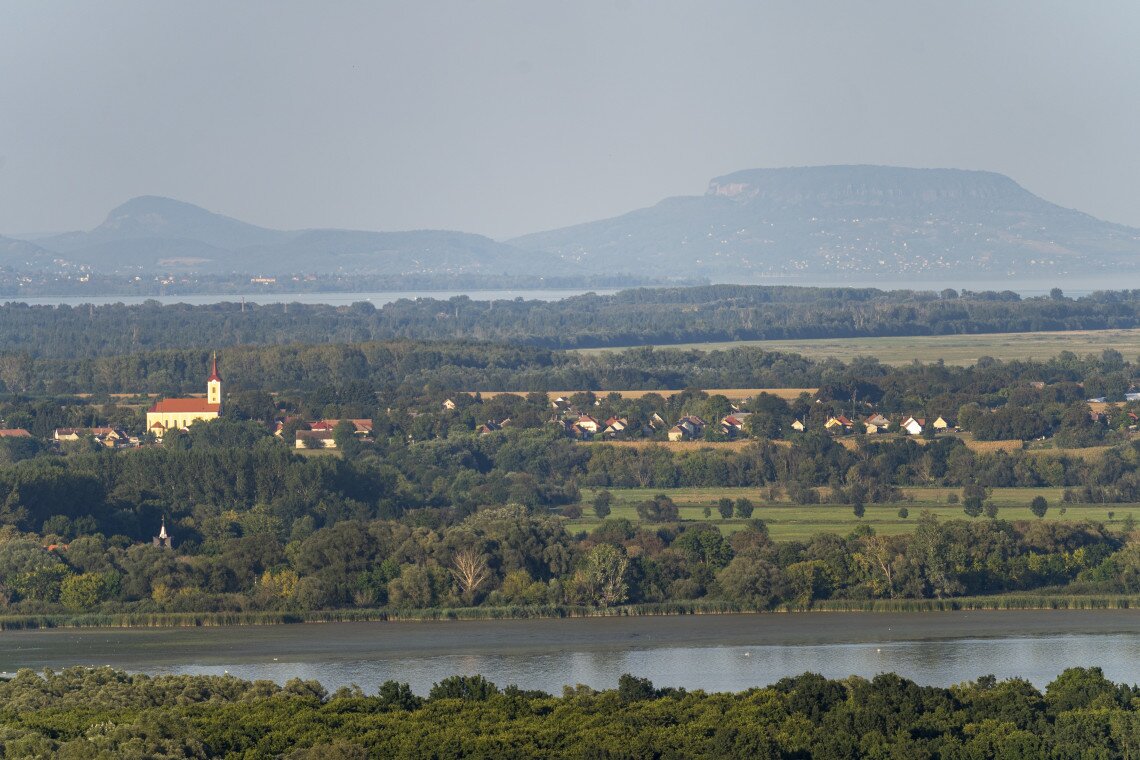 ds_617772_2a6617030a8ec750cd97501849514559