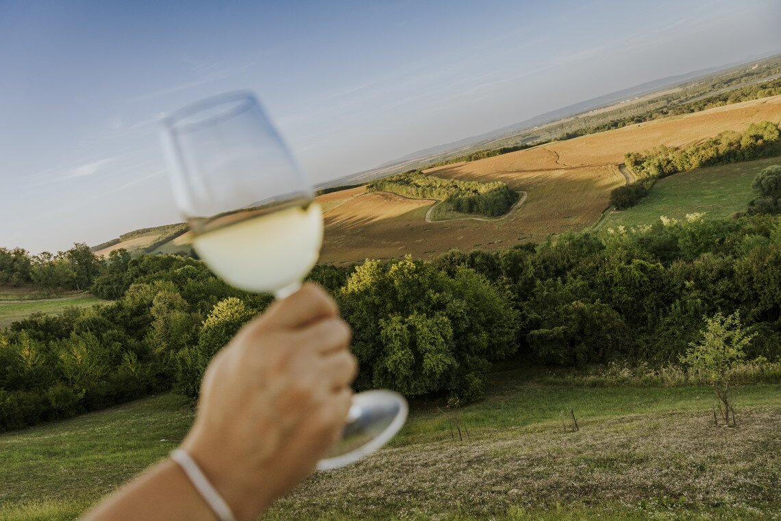 ds_617772_cb0d41d049b56bdaebab5774e508ea19