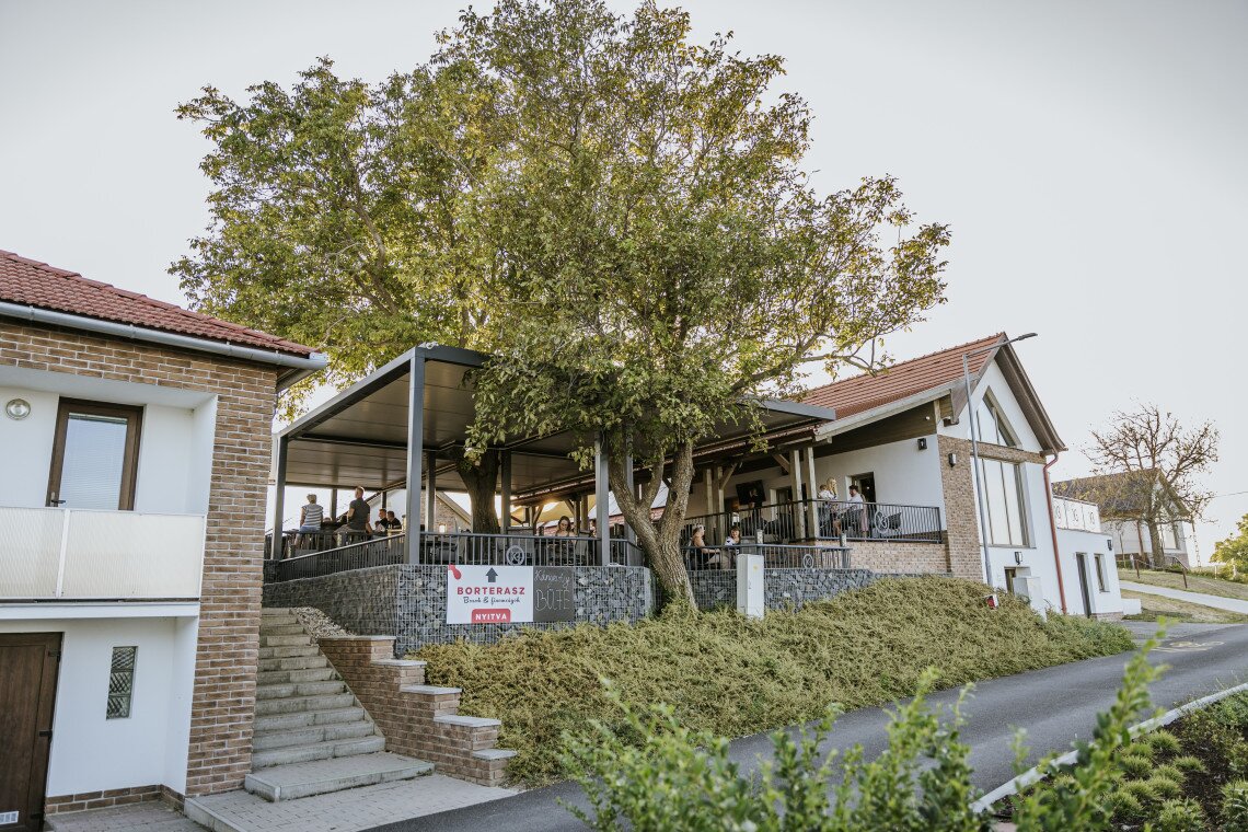 ds_617772_d3c1c968456d0a0024745ca312de50e7