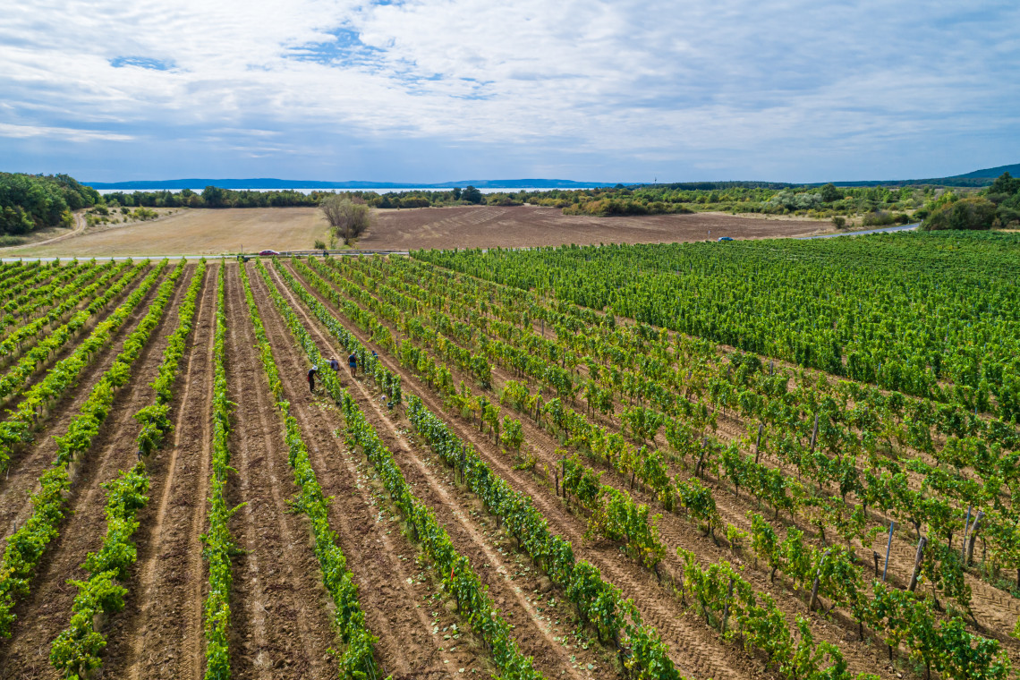 ds_617774_58da271dae0f4f812c172b3d914f8d9e