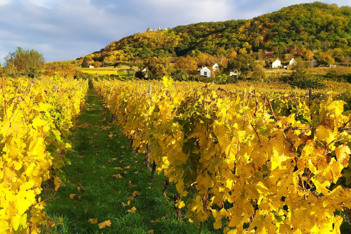 ds_617776_21d1d2a3f2f12d79572d1f4f42d38d82