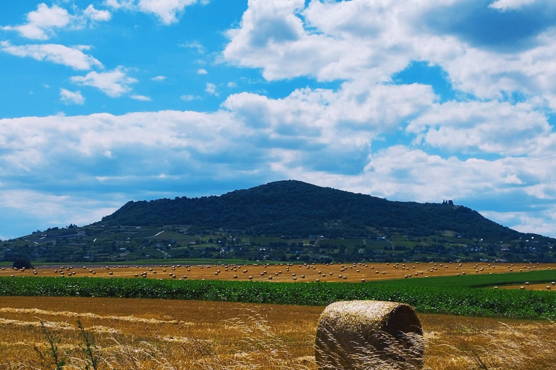 ds_617776_296cfca4e3f0ccdd5b9574a56111968b