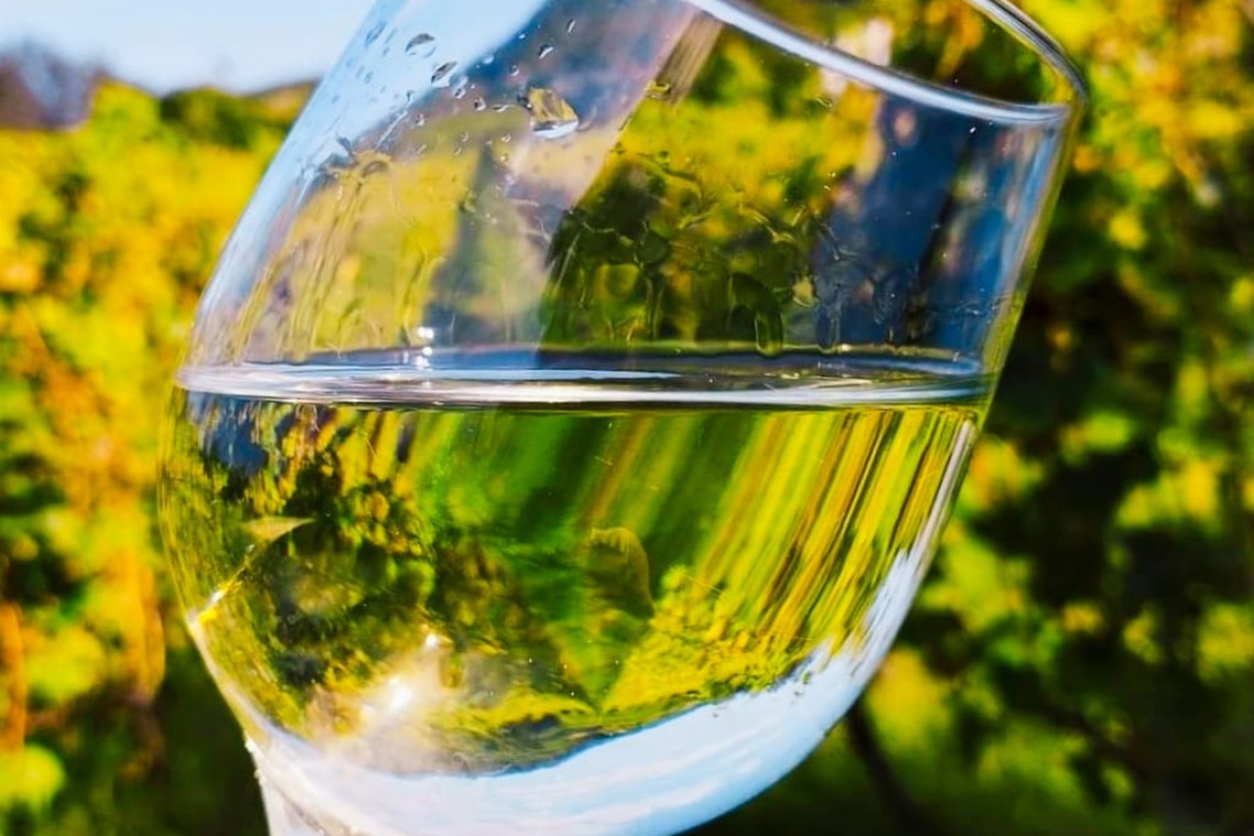 ds_617776_2ee69d93b1df533819066d7f87fbda40