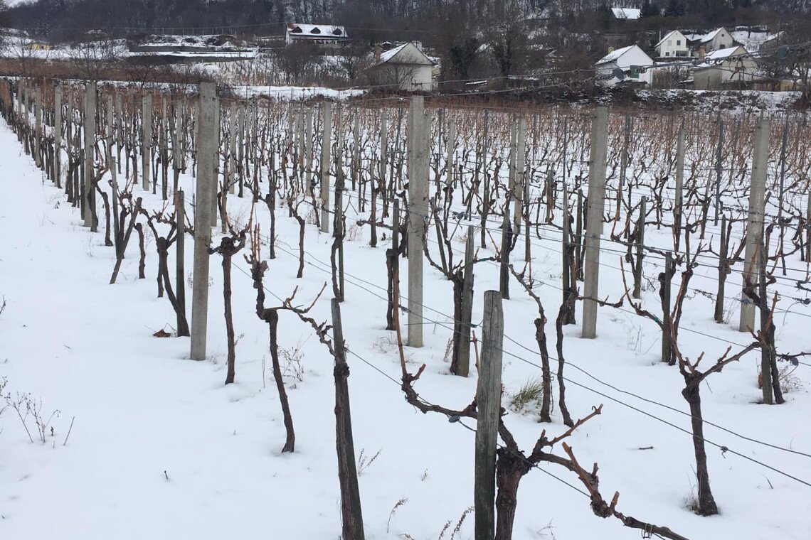 ds_617776_7012ed0a436f4c2cced360d587e6aada