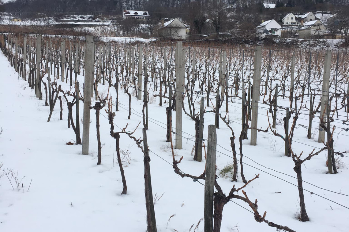 ds_617776_7012ed0a436f4c2cced360d587e6aada