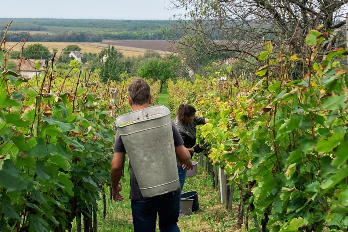 ds_617776_edafd215ff9e9d05510180b3ff4aaf09