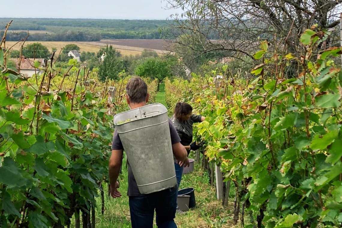 ds_617776_edafd215ff9e9d05510180b3ff4aaf09