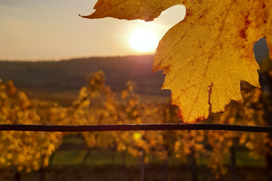 ds_617777_1f873af1a467fe9e9e5066b60a22166e