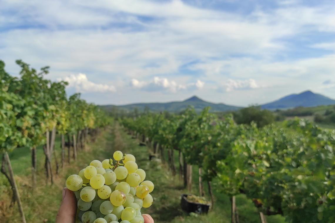 ds_617777_9159f6b90dc80d9a15e5907229be2ced