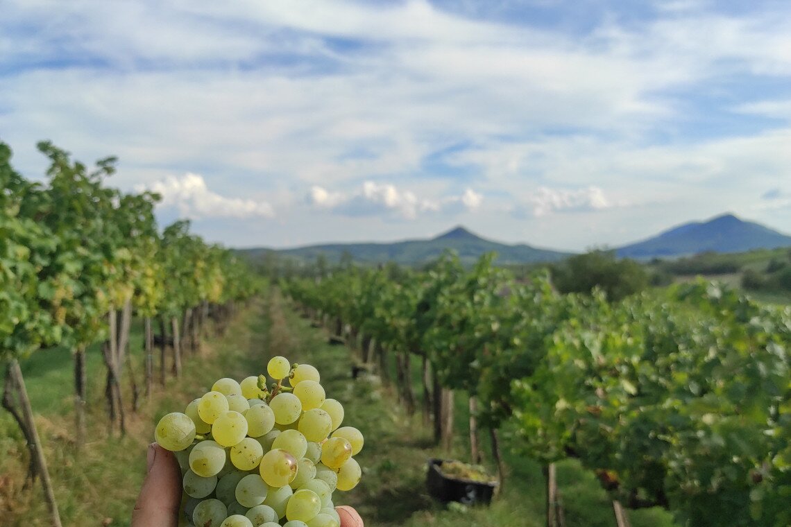 ds_617777_9159f6b90dc80d9a15e5907229be2ced