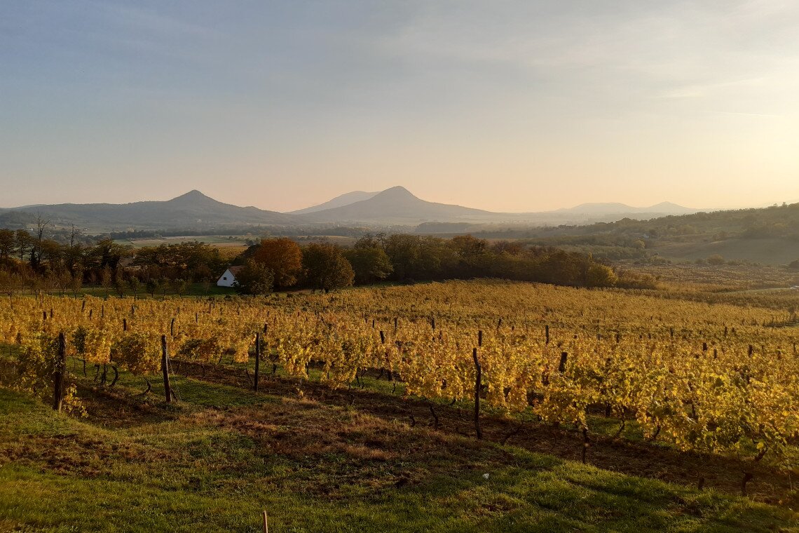 ds_617777_97c9df12b983b0ae5a152b95ec170eb9