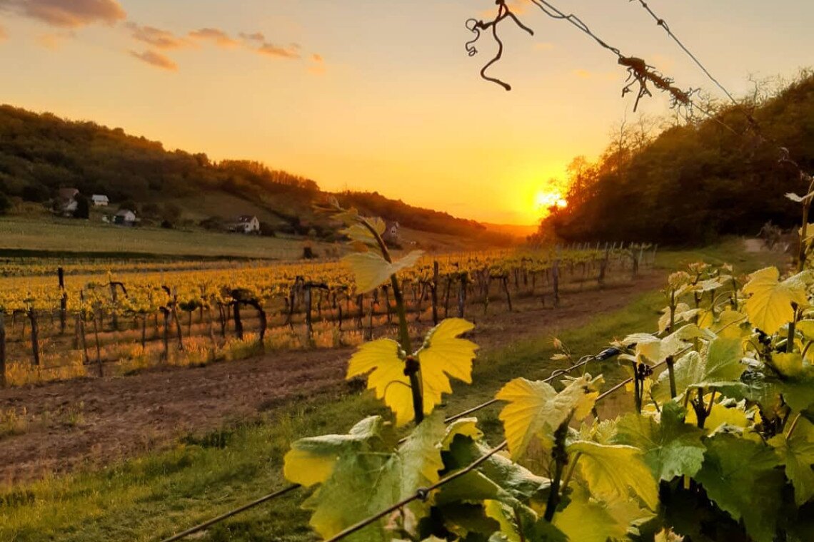 ds_617777_cd15becba67dcca818c241c1d4cf1ef9