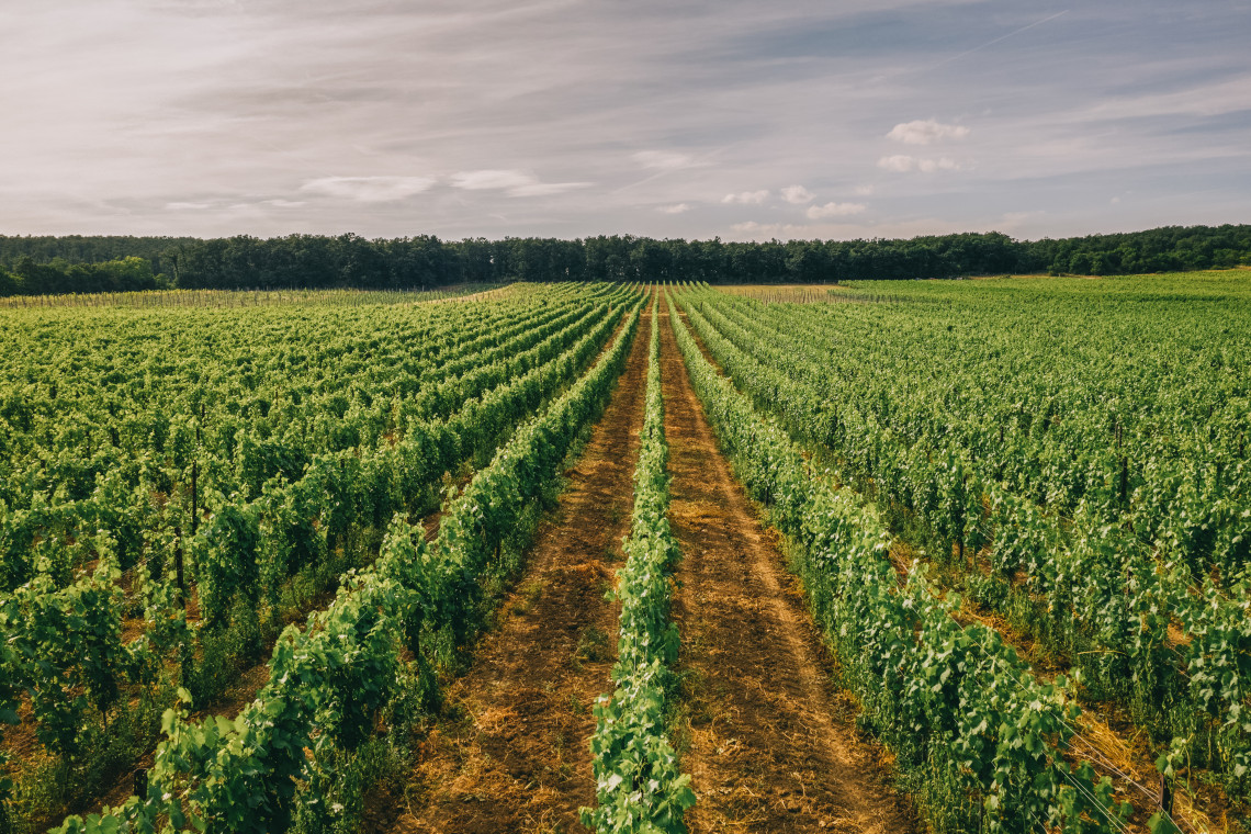 ds_617778_429bd4d3c7c611677a31734885c877b8