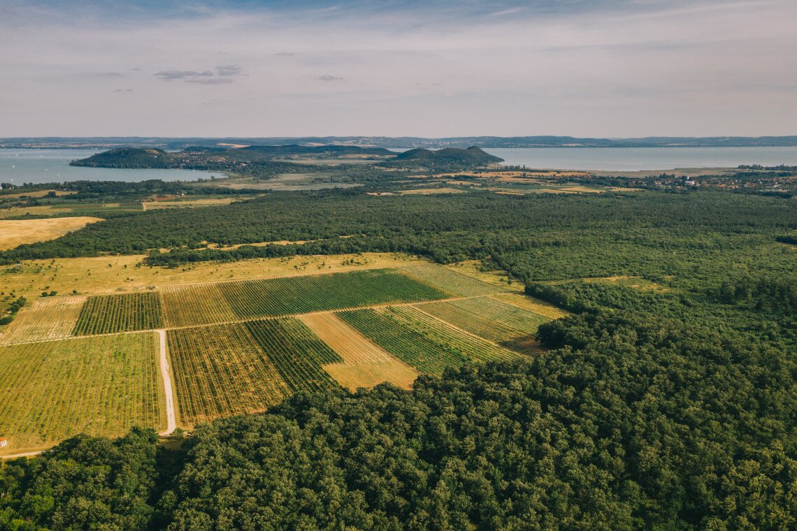 ds_617778_af148952126712cb935b89950b50ad6e