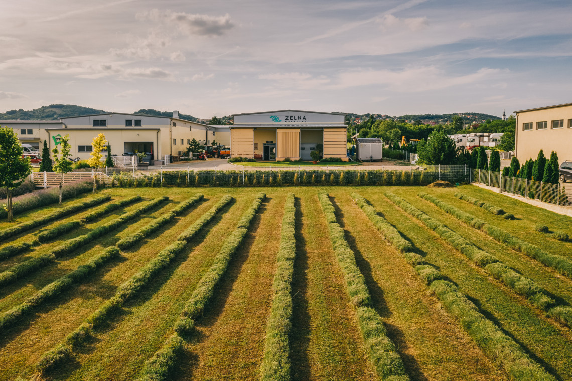 ds_617778_cec6df98d1f779ca92a2a62f25a9f15d