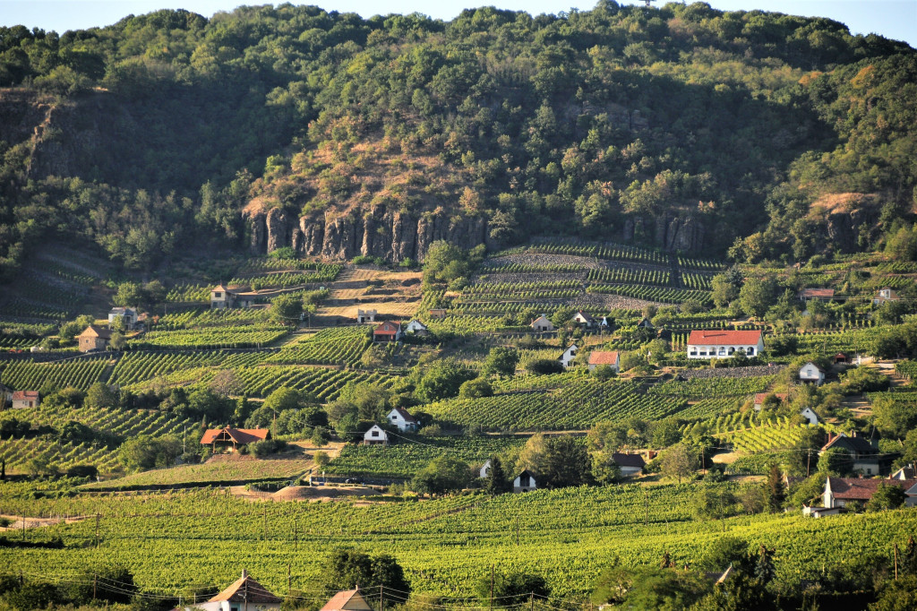 Somlói Borvidék